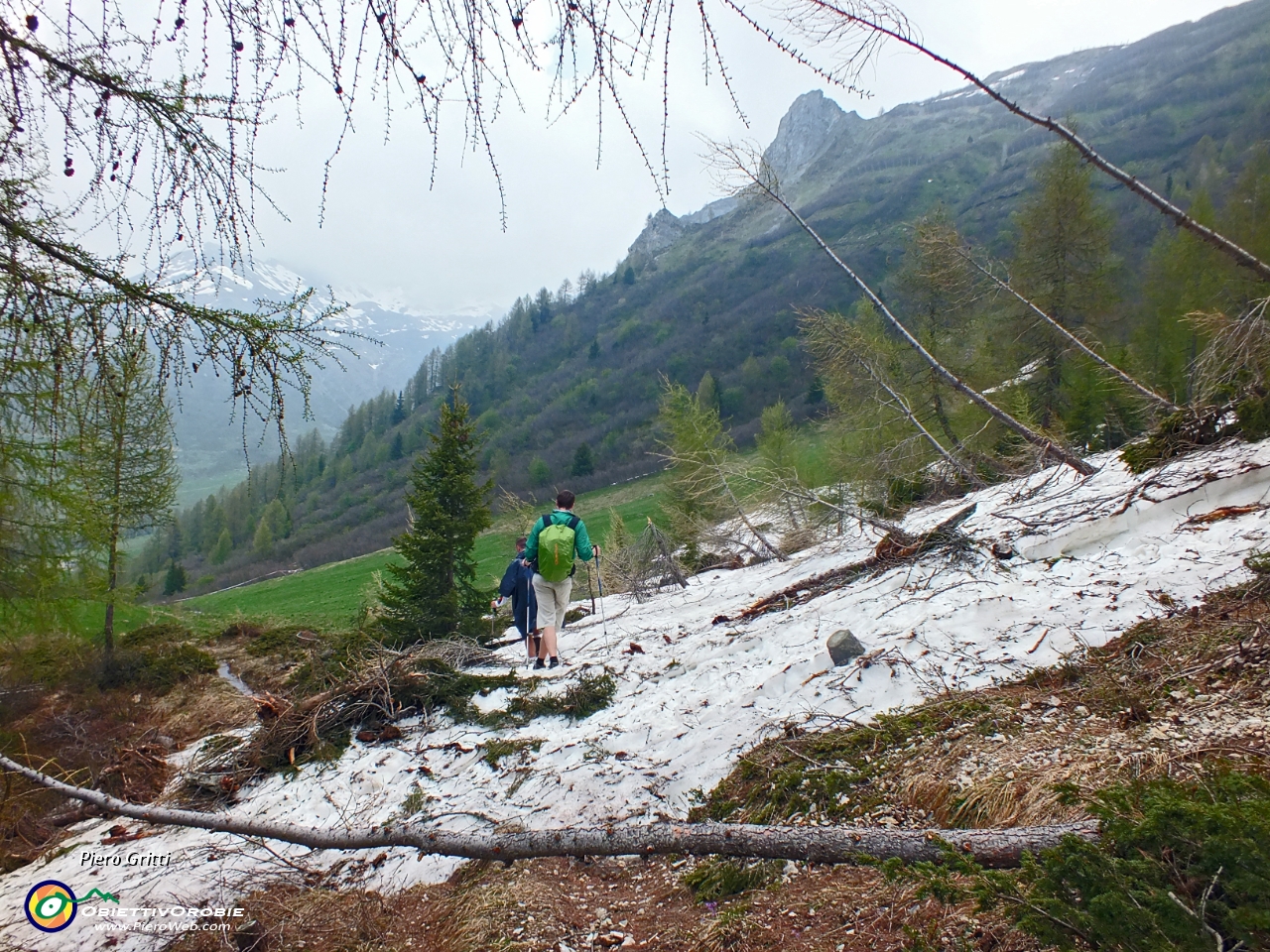 81 passaggio su neve al raccordo col sentiero 206....JPG